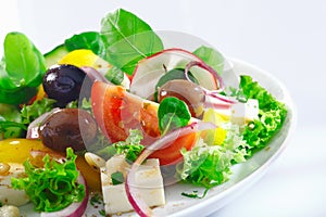 Crisp appetizing Greek salad