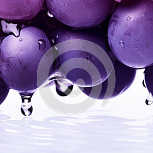 Crisp Delights Grape Glistening with Freshness and Water Droplets. Generative AI