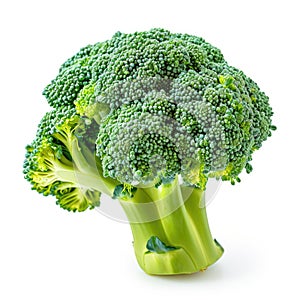 A crisp head of broccoli with florets isolated on a clean white background, Ai Generated