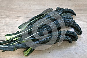 Crisp organic green lacinato kale