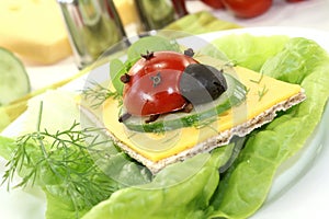 Crispbread with cheese and ladybug