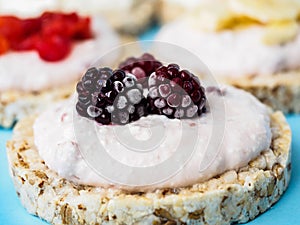 Crispbread with cottage cheese, BlackBerry close-up and other fruits