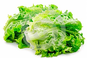 Crisphead, or iceberg lettuce isolated on white background. Fresh green salad leaves from garden photo