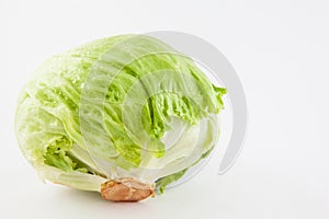 Crisphead lettuce Lactuca sativa photo