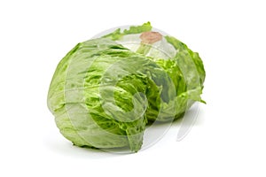 Crisphead lettuce, two whole heads of iceberg lettuce, leafy green vegetables isolated on white background