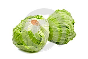 Crisphead lettuce, two whole heads of iceberg lettuce, leafy green vegetables isolated on white background