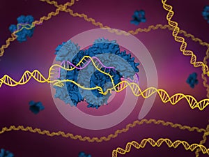 CRISPR-Cas9