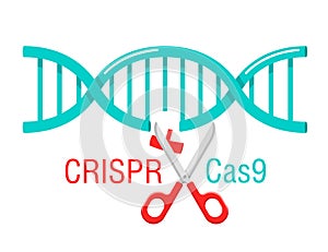 CRISPR Cas9 DNA spiral cutting