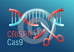 CRISPR Cas9 - DNA spiral cutting by scissors