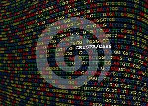 CRISPR-Cas9 locus on DNA sequence