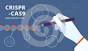 Crispr concept. Cas9 dna and gene engineering biotechnology. Human genome modification medical vector background