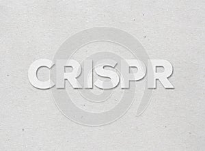 CRISPR genome engineering