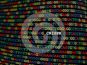 CRISPR locus on DNA sequence photo