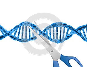 CRISPR Patent Dispute