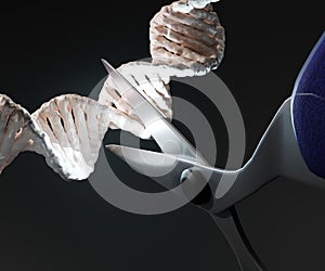 CRISPR is a technology that can be used to edit genes