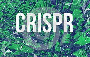 Crispr theme with abstract network patterns and Manhattan skyscrapers