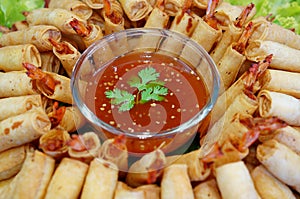 Crispy Chinese Traditional Spring rolls food