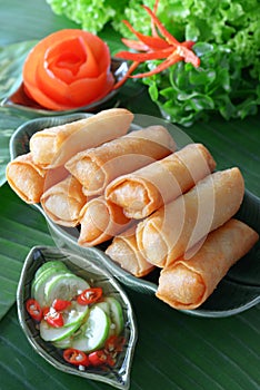 Crispy Chinese Traditional Spring rolls food