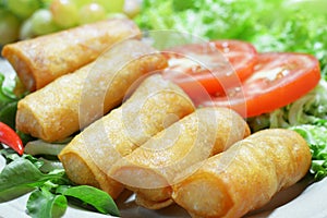 Crispy Chinese Traditional Spring rolls food