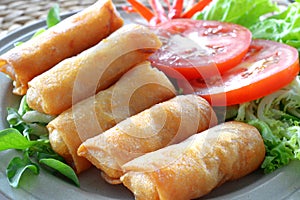 Crispy Chinese Traditional Spring rolls food