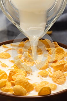 Crispy corn flakes with milk in a bowl for breakfast