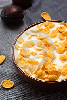 Crispy corn flakes with milk in a bowl for breakfast close-up