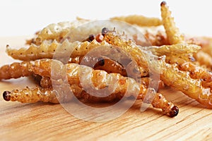 Crispy deep fried bamboo worm, fried insects are a high protein foods.