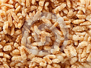 Crispy rice