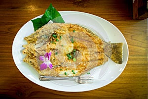 Crispy Sea Bass on White Dish on Wood Table