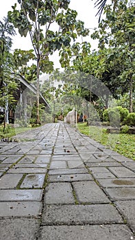 Criss cross brick path walkway