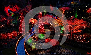 Cristmas night lights in the garden photo