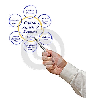 Critical Aspects of Business Plan