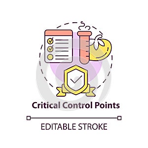 Critical control points concept icon