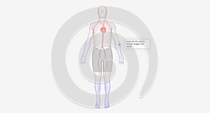 Critical limb ischemia is severe narrowing of the arteries outside your heart and brain, usually in your arms and legs