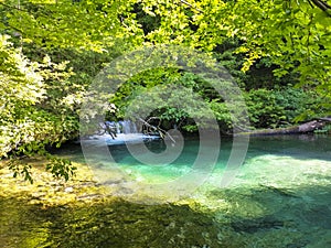 Crna rijeka Black RIver in Plitvice national park photo