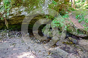 Crna spring in Logarska valley where the Savinja river originates