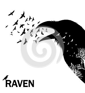 Croaking crow or raven. Vector Illustration.