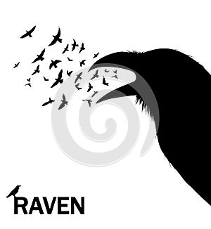 Croaking crow or raven. Vector Illustration for wall decor sticker.