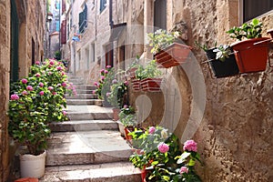 Korcula town street photo