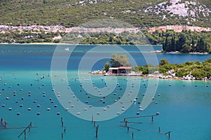 Croatia mussel farms