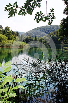 Croacia naturaleza a países. Europa viajar. 