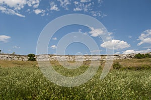 Croatia, Pag island, landscape, Island of Pag, Europe, nature, Mediterranean maquis, summer, trip on the road, fields