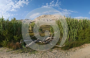 Croatia, Pag island, landscape, Island of Pag, Europe, nature, Mediterranean maquis, summer, trip on the road, fields