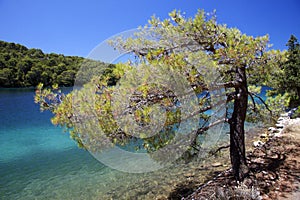 Croatia: Paradise in Mljet island