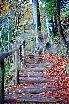 Croatia - Plitvice Lakes National Park - Autumn