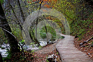 Croatia - Plitvice Lakes National Park - Autumn