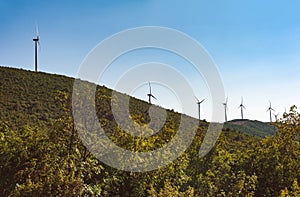 Croatia.Wind turbines standing on a hill against a clear blue sky.