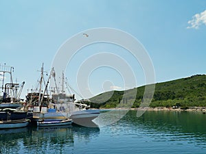Croatian fishermen trawlers on Ugljan