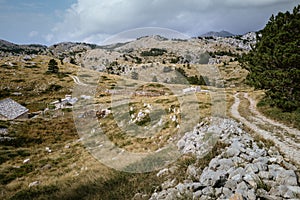 Croatian mountains, Biokovo National Park, Sveti Jure mountain.