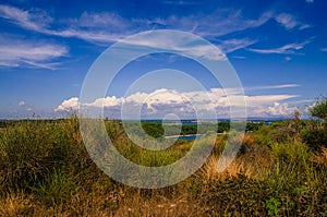 Croatian vegetation and blue sky